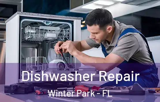  Dishwasher Repair Winter Park - FL