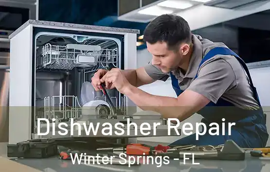  Dishwasher Repair Winter Springs - FL