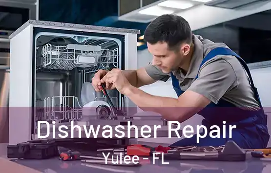  Dishwasher Repair Yulee - FL