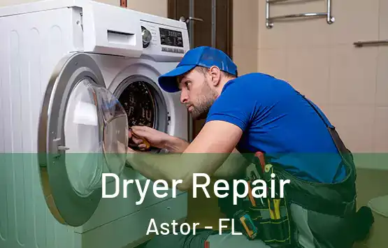  Dryer Repair Astor - FL