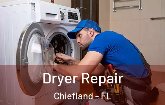  Dryer Repair Chiefland - FL