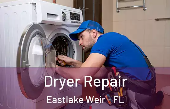  Dryer Repair Eastlake Weir - FL