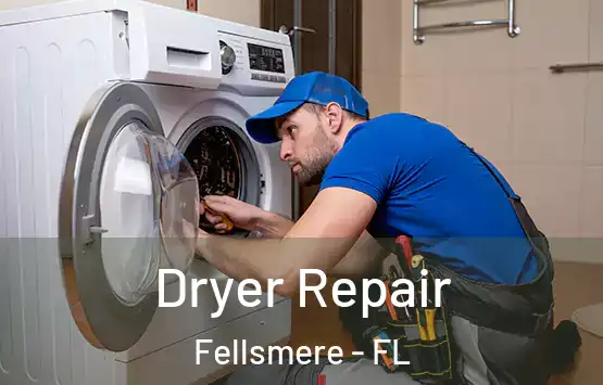  Dryer Repair Fellsmere - FL