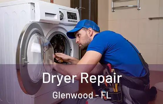  Dryer Repair Glenwood - FL