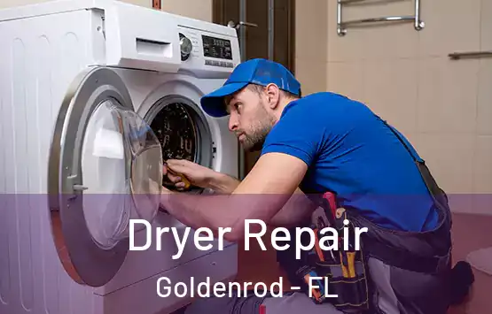  Dryer Repair Goldenrod - FL