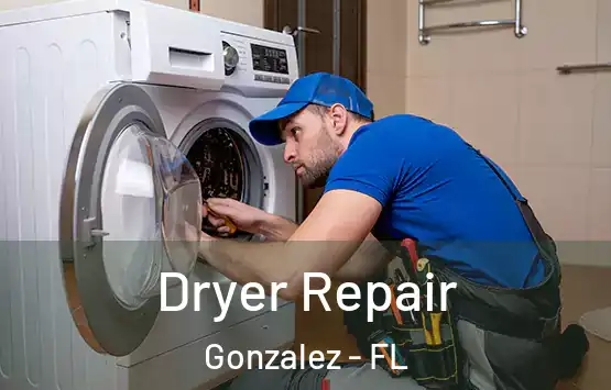  Dryer Repair Gonzalez - FL