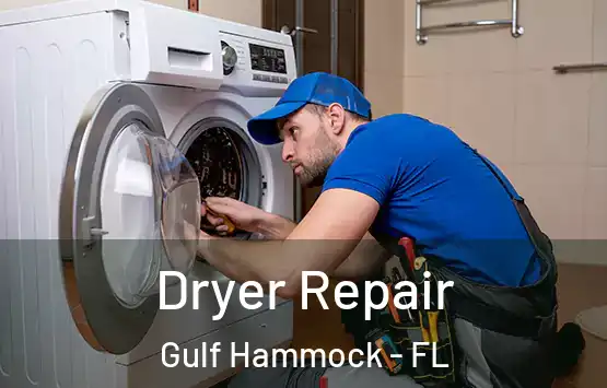  Dryer Repair Gulf Hammock - FL