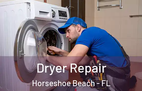  Dryer Repair Horseshoe Beach - FL