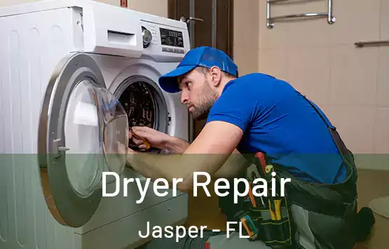  Dryer Repair Jasper - FL