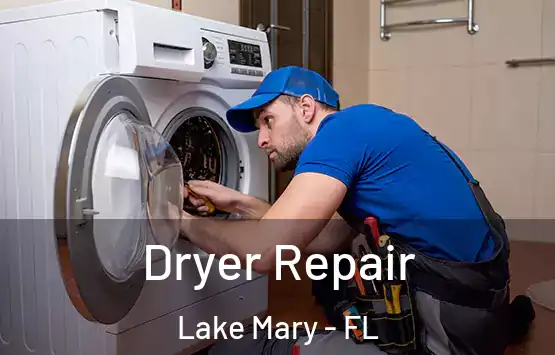  Dryer Repair Lake Mary - FL