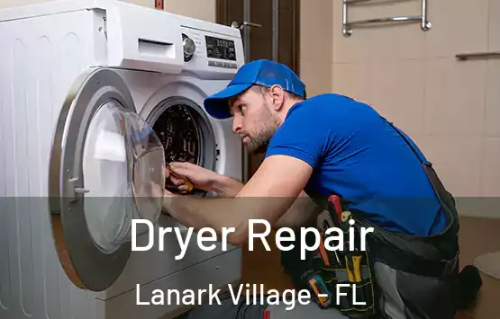  Dryer Repair Lanark Village - FL