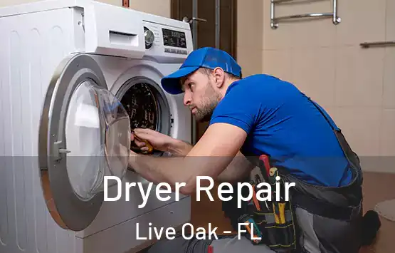  Dryer Repair Live Oak - FL