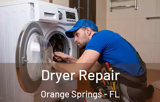  Dryer Repair Orange Springs - FL