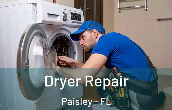 Dryer Repair Paisley - FL