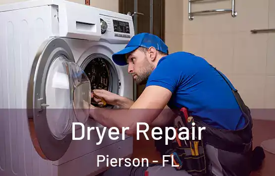  Dryer Repair Pierson - FL