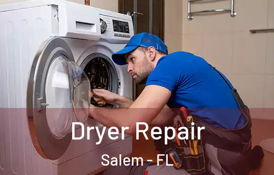  Dryer Repair Salem - FL