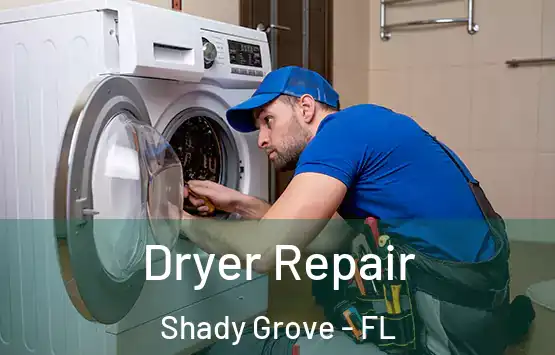  Dryer Repair Shady Grove - FL