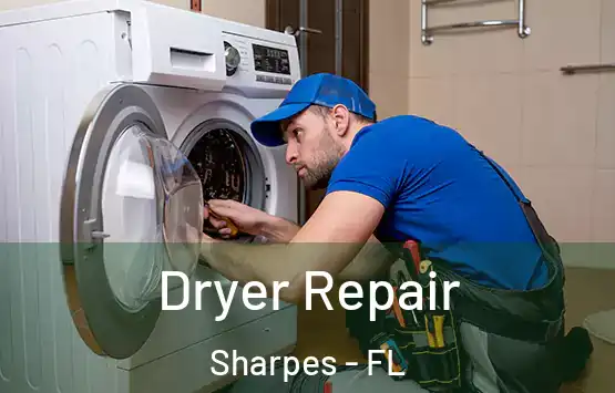 Dryer Repair Sharpes - FL
