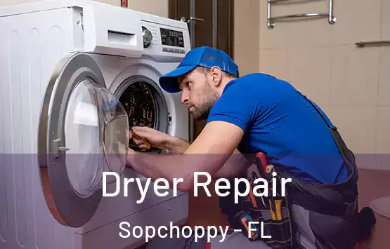  Dryer Repair Sopchoppy - FL