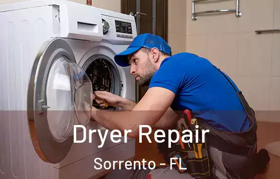  Dryer Repair Sorrento - FL