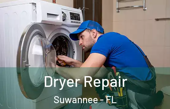  Dryer Repair Suwannee - FL