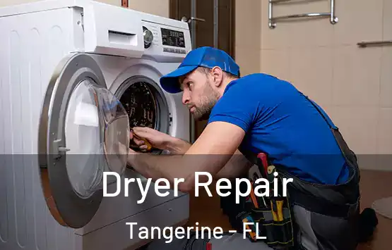  Dryer Repair Tangerine - FL