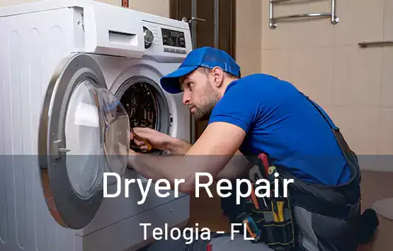  Dryer Repair Telogia - FL