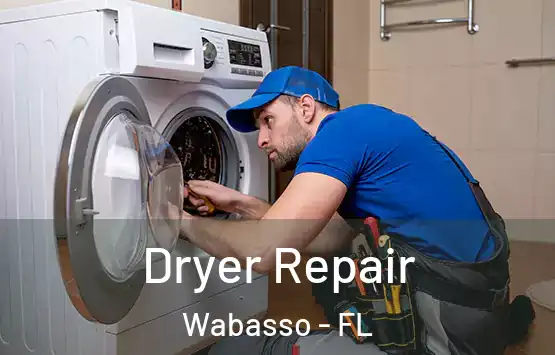  Dryer Repair Wabasso - FL