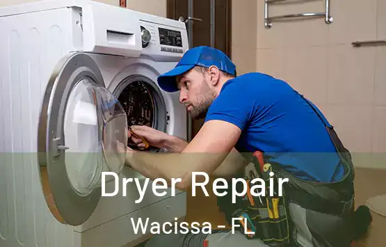  Dryer Repair Wacissa - FL