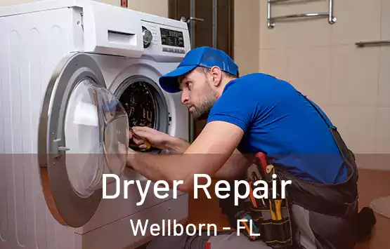 Dryer Repair Wellborn - FL