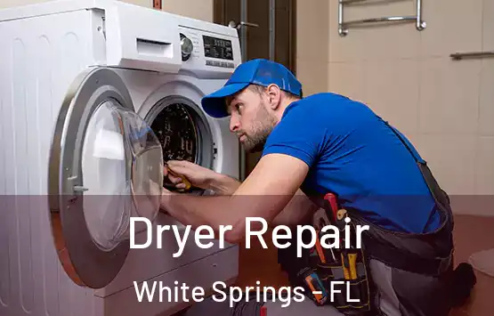  Dryer Repair White Springs - FL
