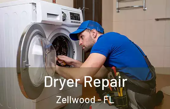  Dryer Repair Zellwood - FL