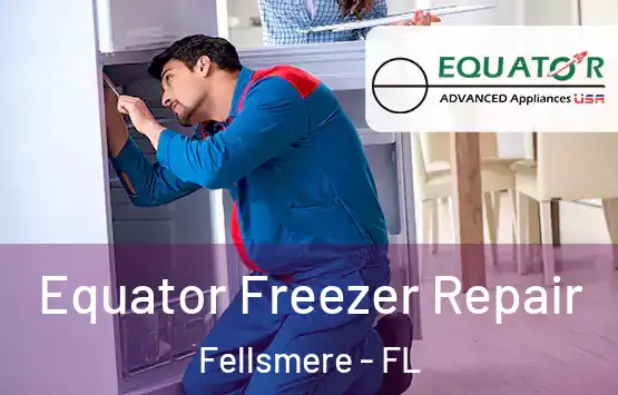  Equator Freezer Repair Fellsmere - FL