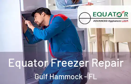  Equator Freezer Repair Gulf Hammock - FL