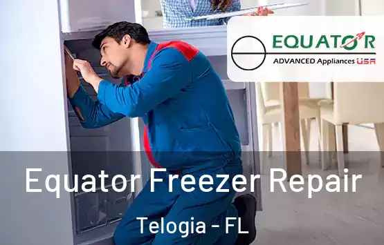  Equator Freezer Repair Telogia - FL