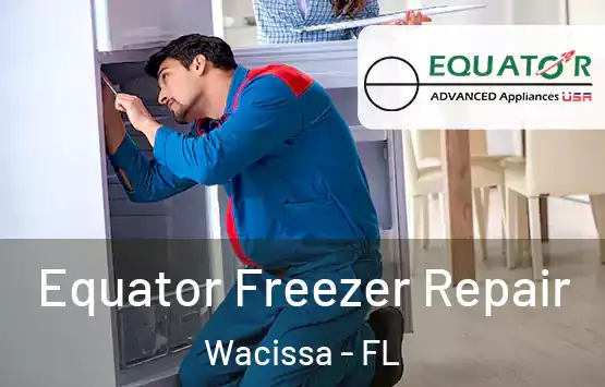  Equator Freezer Repair Wacissa - FL