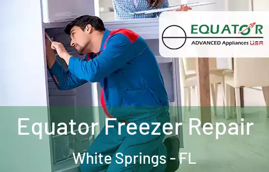  Equator Freezer Repair White Springs - FL