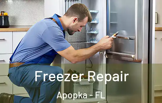  Freezer Repair Apopka - FL