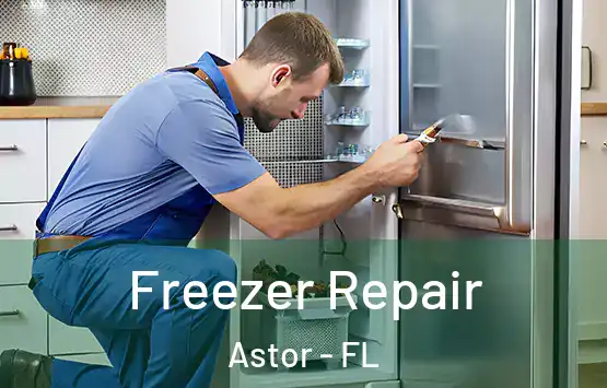  Freezer Repair Astor - FL