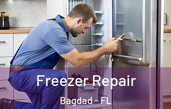  Freezer Repair Bagdad - FL