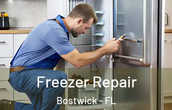  Freezer Repair Bostwick - FL