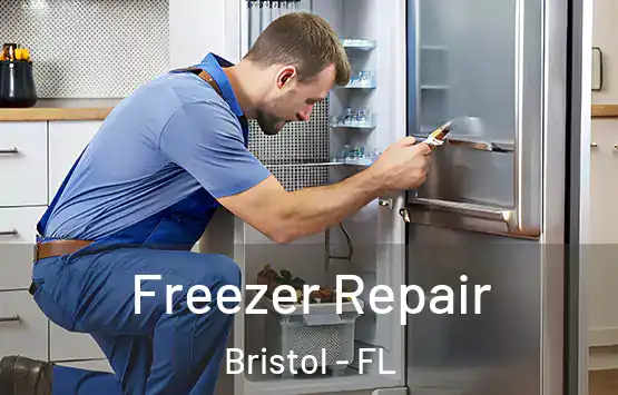  Freezer Repair Bristol - FL