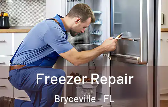  Freezer Repair Bryceville - FL