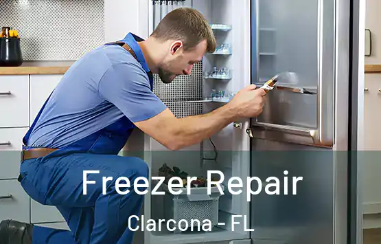  Freezer Repair Clarcona - FL