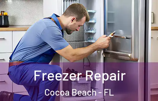  Freezer Repair Cocoa Beach - FL