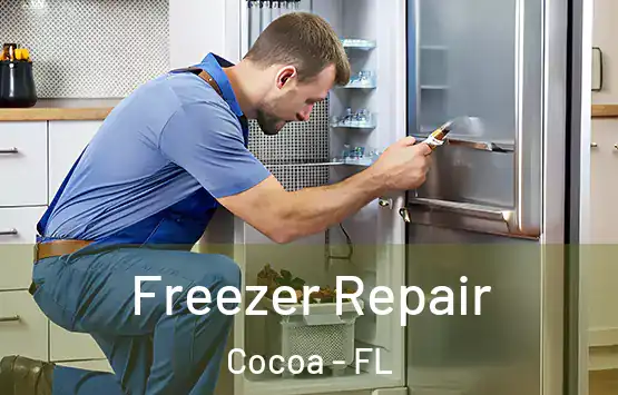  Freezer Repair Cocoa - FL