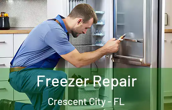  Freezer Repair Crescent City - FL