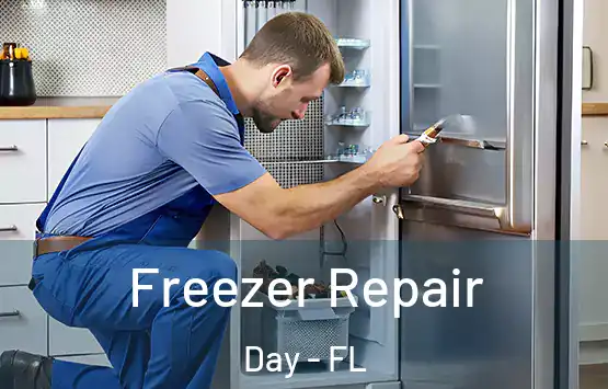  Freezer Repair Day - FL
