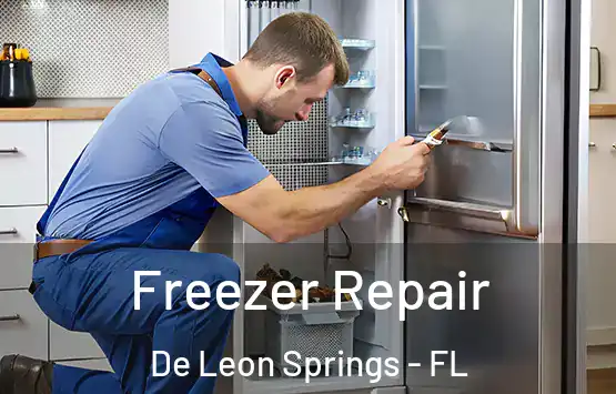  Freezer Repair De Leon Springs - FL