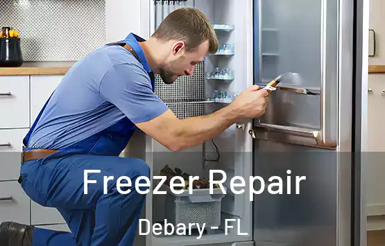  Freezer Repair Debary - FL